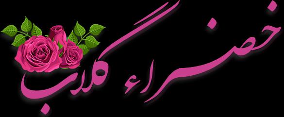 خضراء گلاب